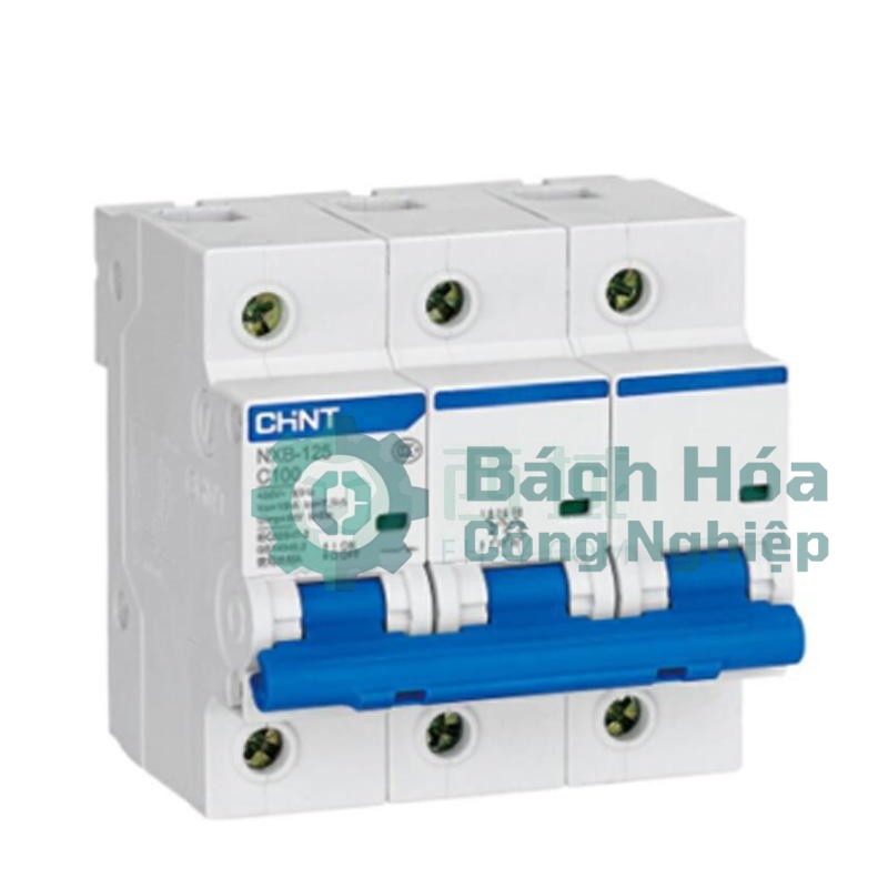 Aptomat (cầu dao tự động) CHINT C100