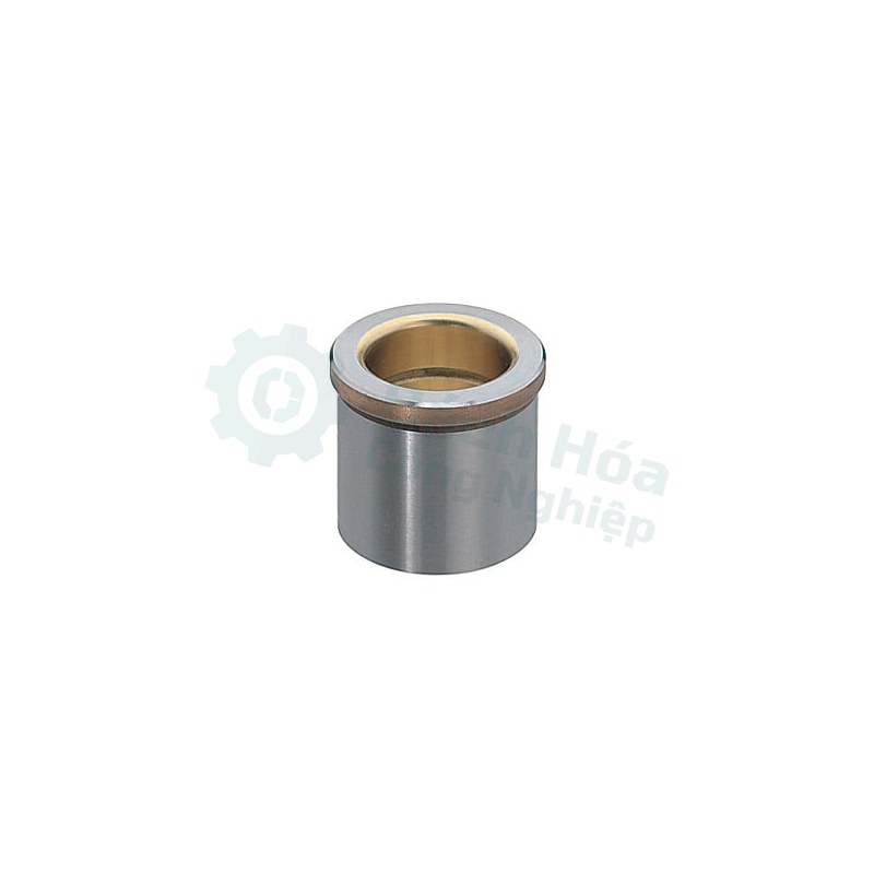 Bạc dẫn hướng khuôn MISUMI SGBF25-25