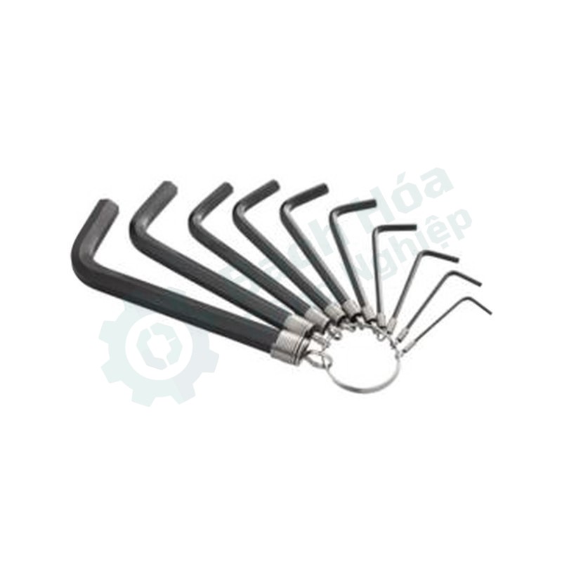 Bộ lục giác (Allen) ENDURA E1559