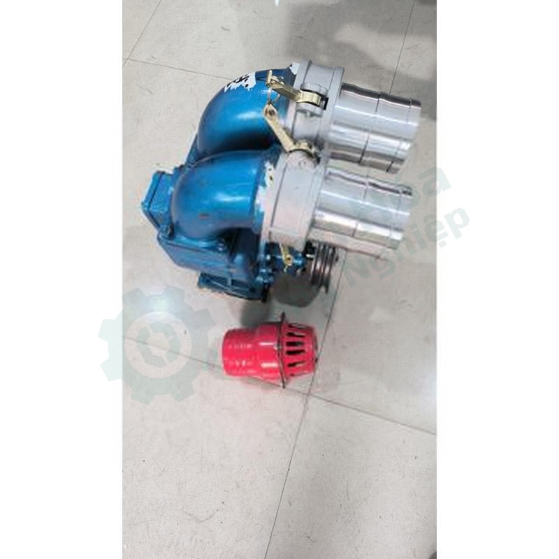 Bơm bánh răng LEO JLM353