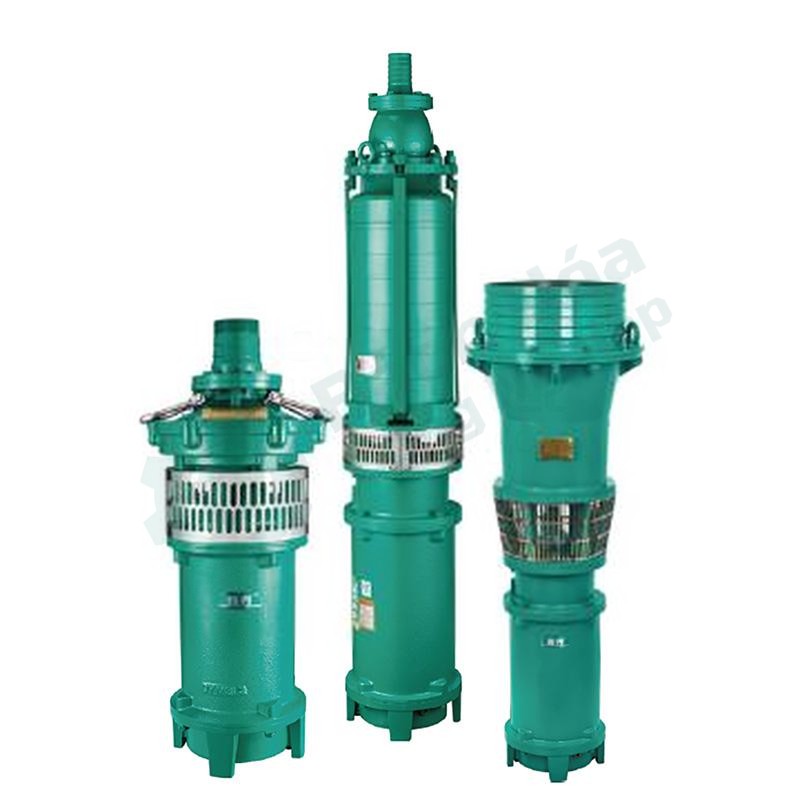 Bơm chìm ngâm dầu SHIMGE QY25-26-3L3