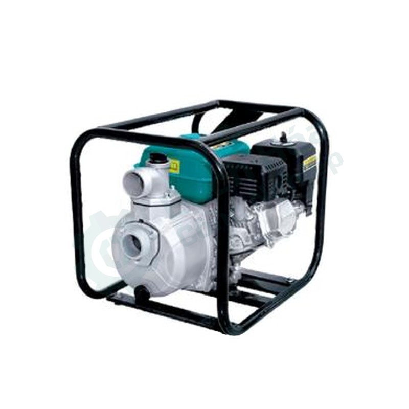 Bơm nước chạy động cơ xăng LEO LGP30-C