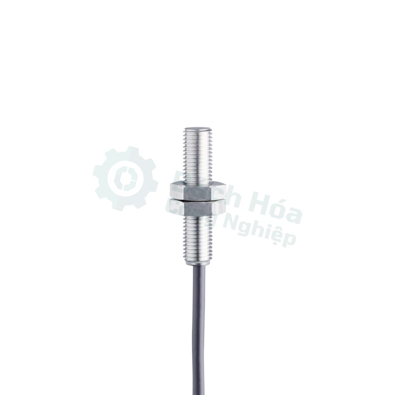 Cảm biến IFM IE5344