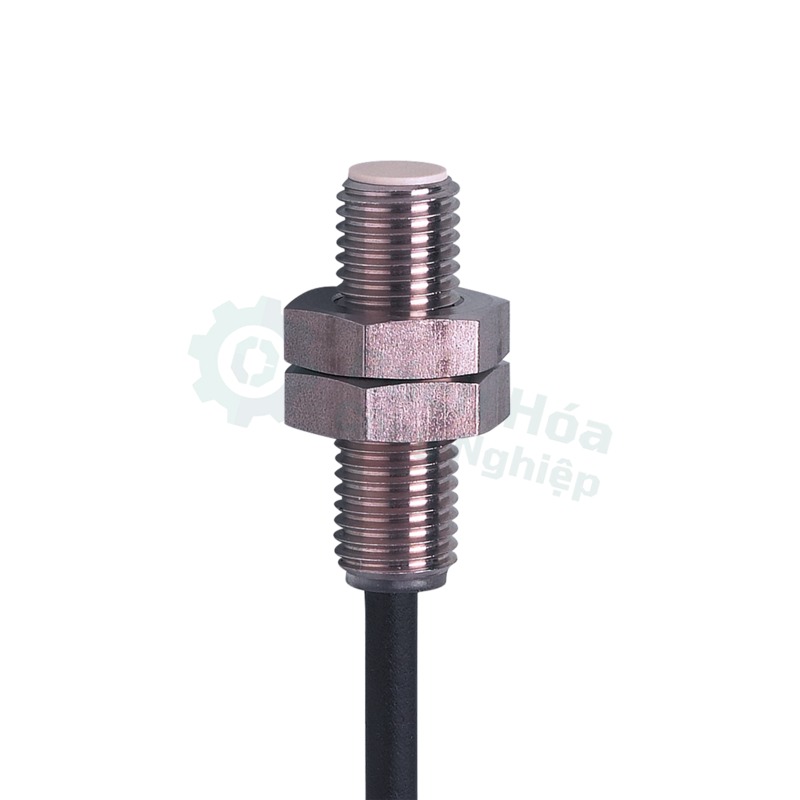 Cảm biến IFM IE5419
