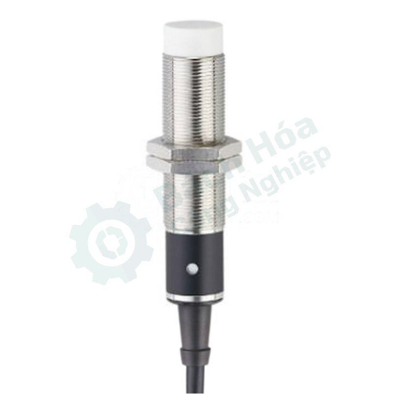 Cảm biến IFM IG0012