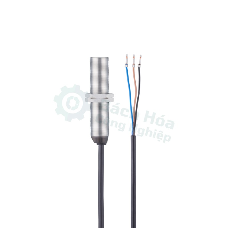 Cảm biến IFM IG5397