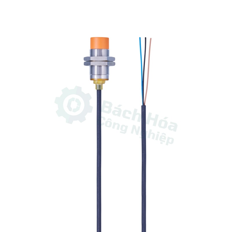 Cảm biến IFM IGS249