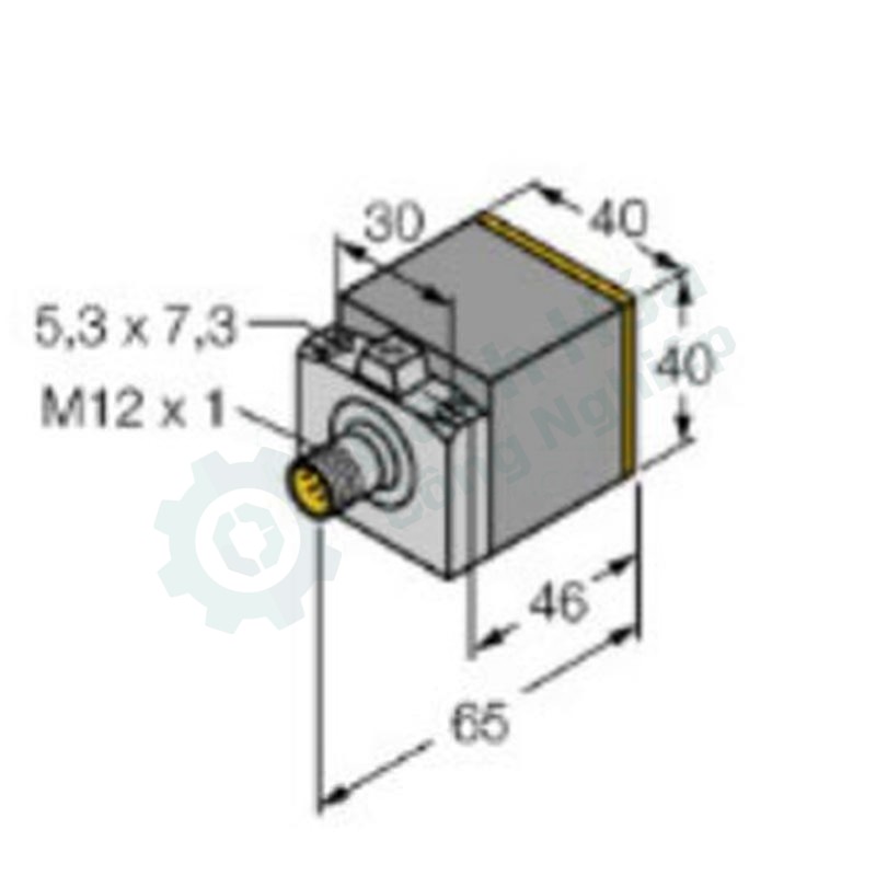 Cảm biến TURCK NI25-CK40-LIU-H1141