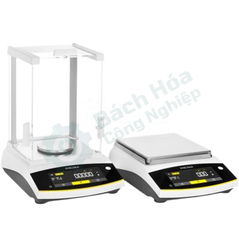 Cân phân tích/cân điện tử SARTORIUS BCE224i-1CCN