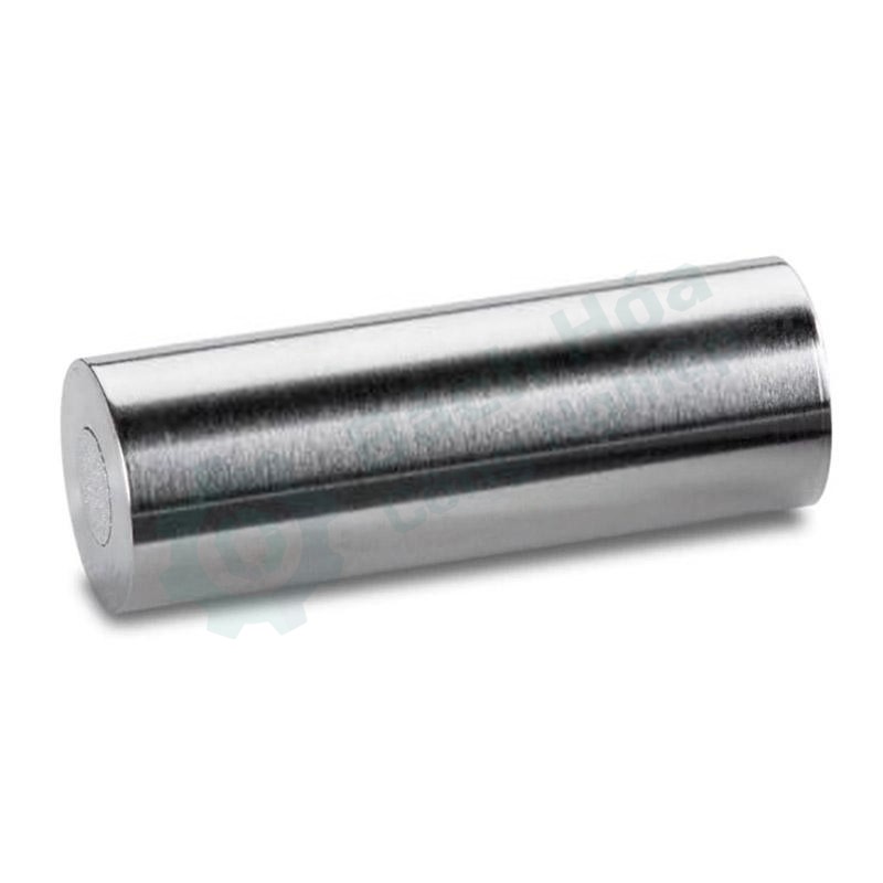 Cột bảo vệ sắc ký (guard column) WATERS 186003061