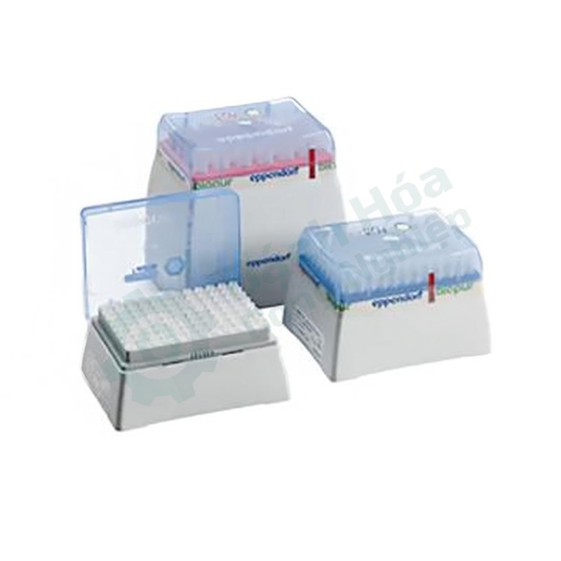Đầu tip pipette dài (0.2-5mL) EPPENDORF 0.2-5mLL