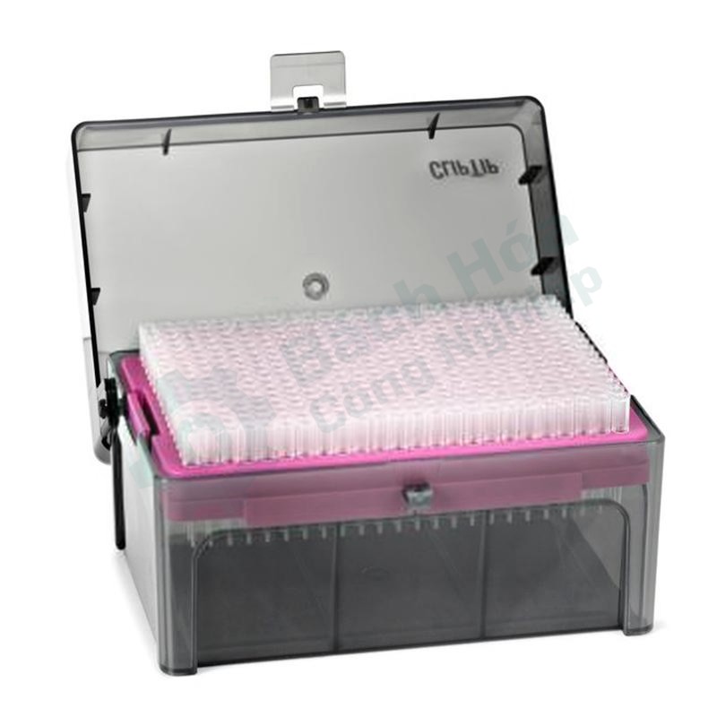 Đầu tip pipette THERMO 10x96/