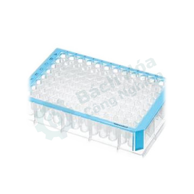 Đĩa giếng sâu 96 giếng (deep-well plate) EPPENDORF 0030501144