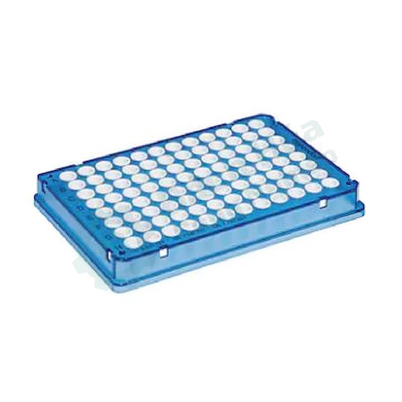 Đĩa PCR 96 giếng (huỳnh quang định lượng) EPPENDORF 0030132505