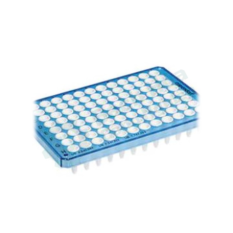 Đĩa PCR 96 giếng (huỳnh quang định lượng) EPPENDORF 0030132530