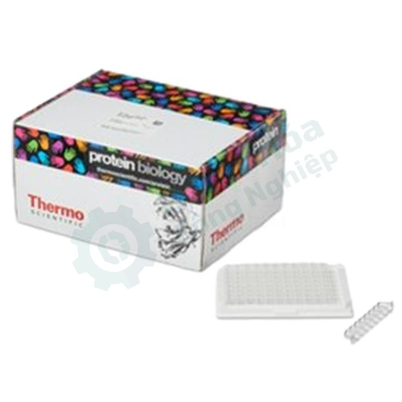 Đĩa phủ Streptavidin (Pierce) THERMO Clear