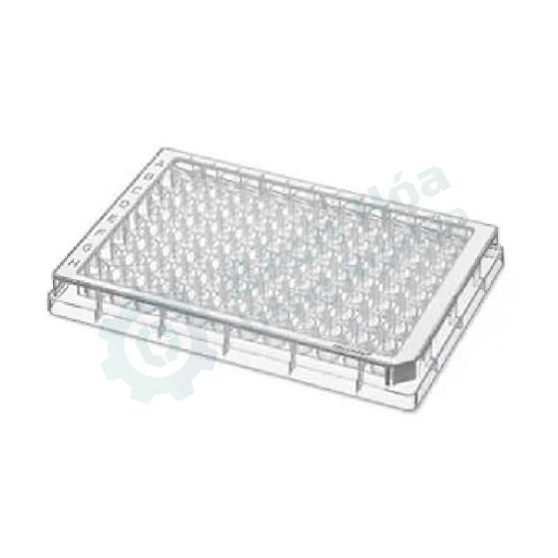 Đĩa vi giếng 96 giếng đáy F (microplate) EPPENDORF 0030602102