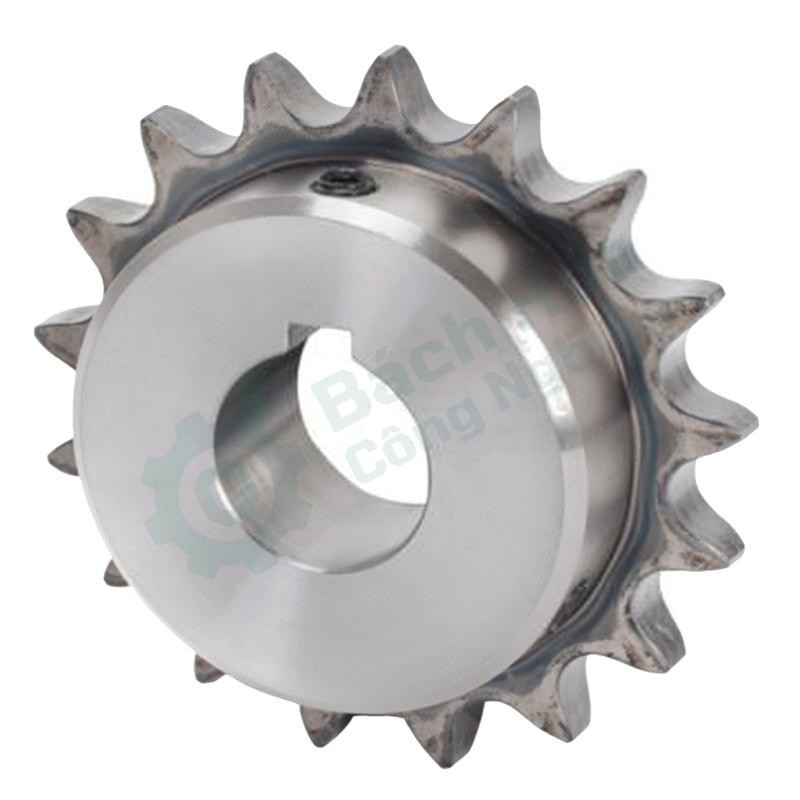 Đĩa xích (nhông xích / bánh xích) SCS FBS06B15H-D19