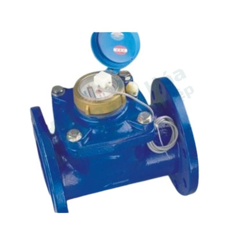 Đồng hồ nước truyền tín hiệu từ xa AMICO F101-DN65