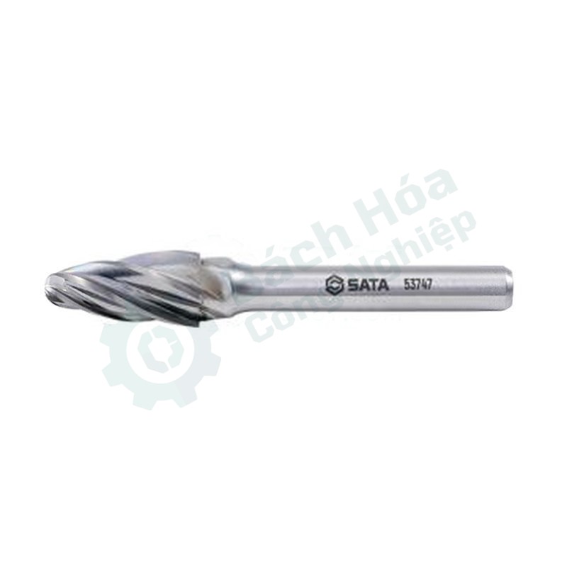 Dũa SATA F1020C06