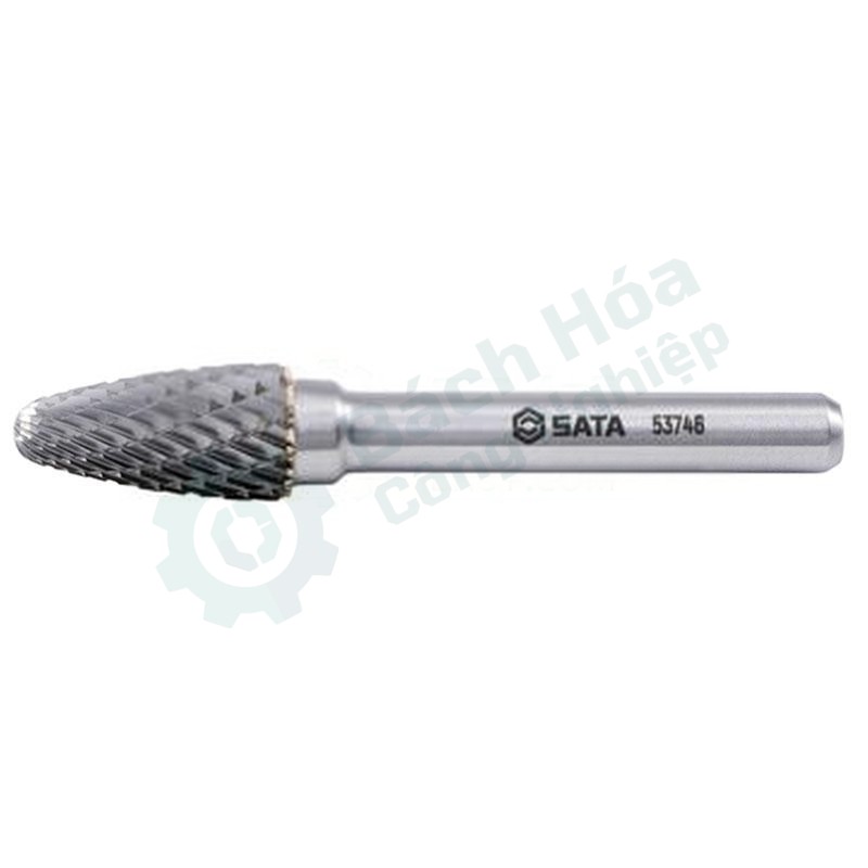 Dũa SATA F1020X06