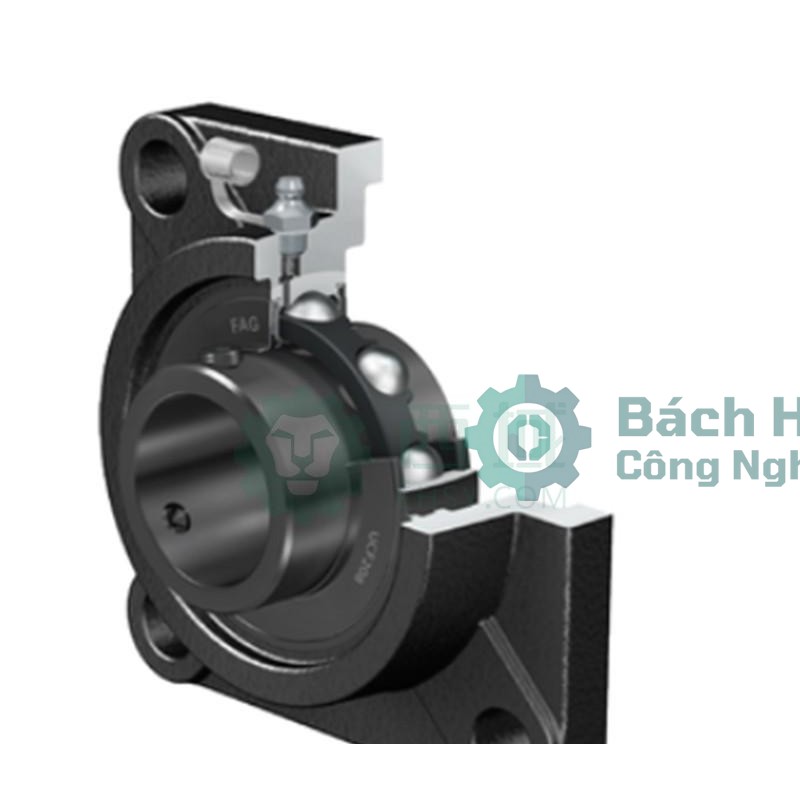 Gối đỡ vòng bi FAG UCF206-J7