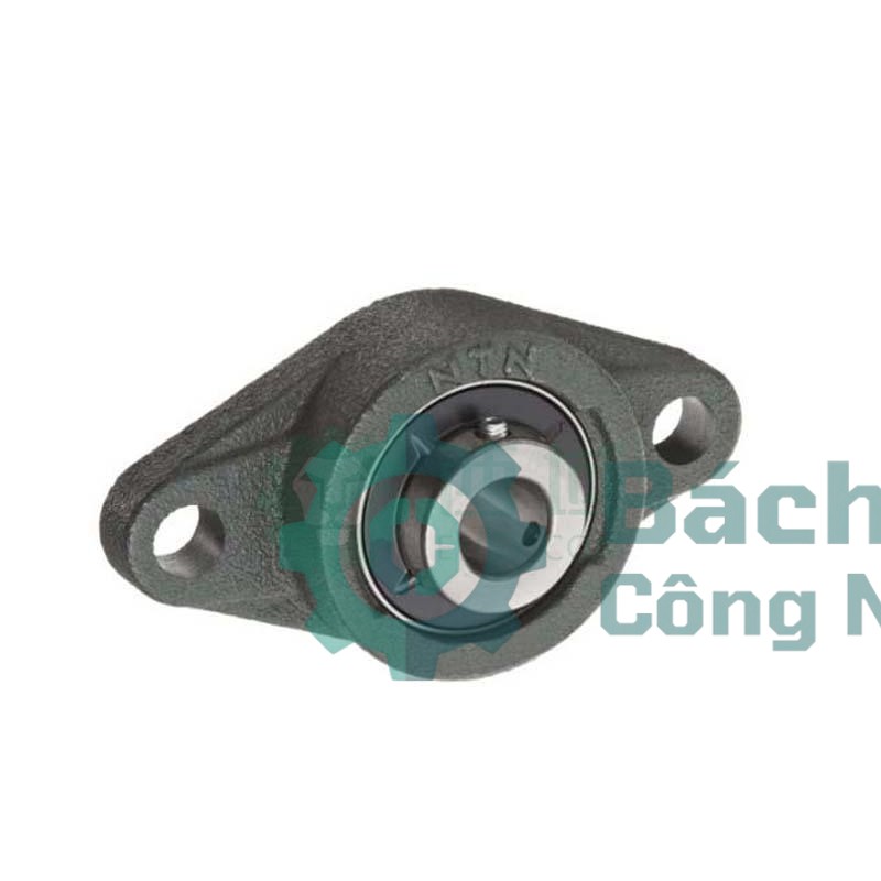 Gối đỡ vòng bi NTN UCFL203D1