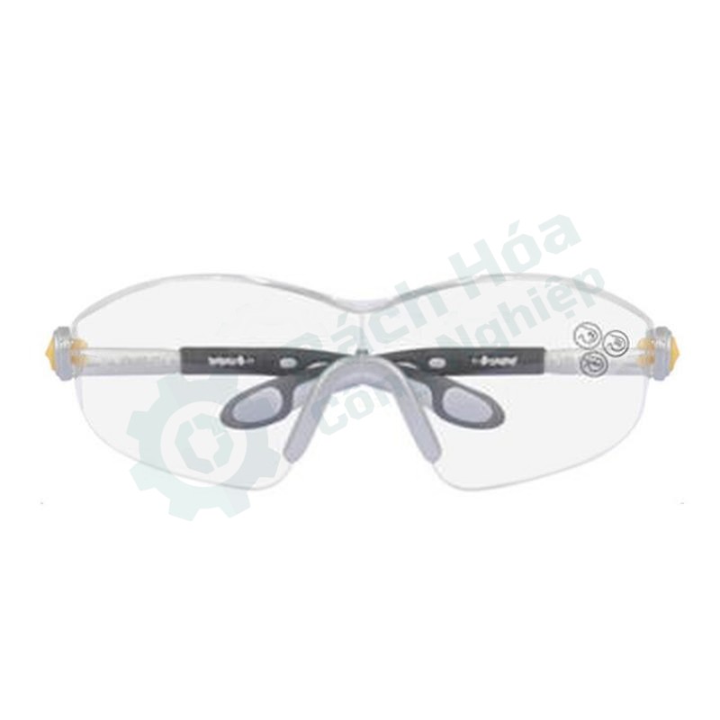 Kính bảo hộ DELTA 101116