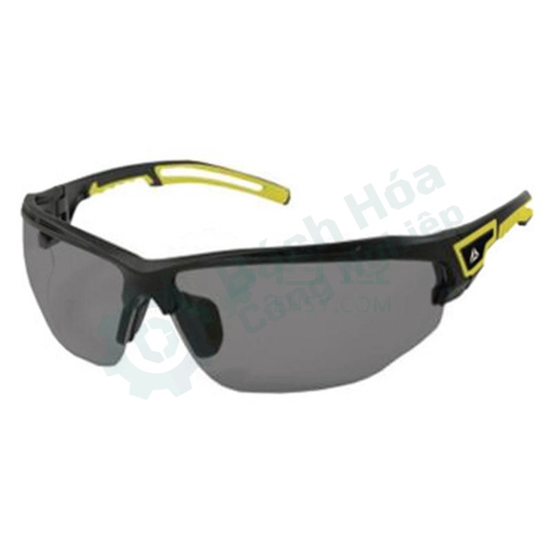 Kính bảo hộ (goggle) DELTA 101151