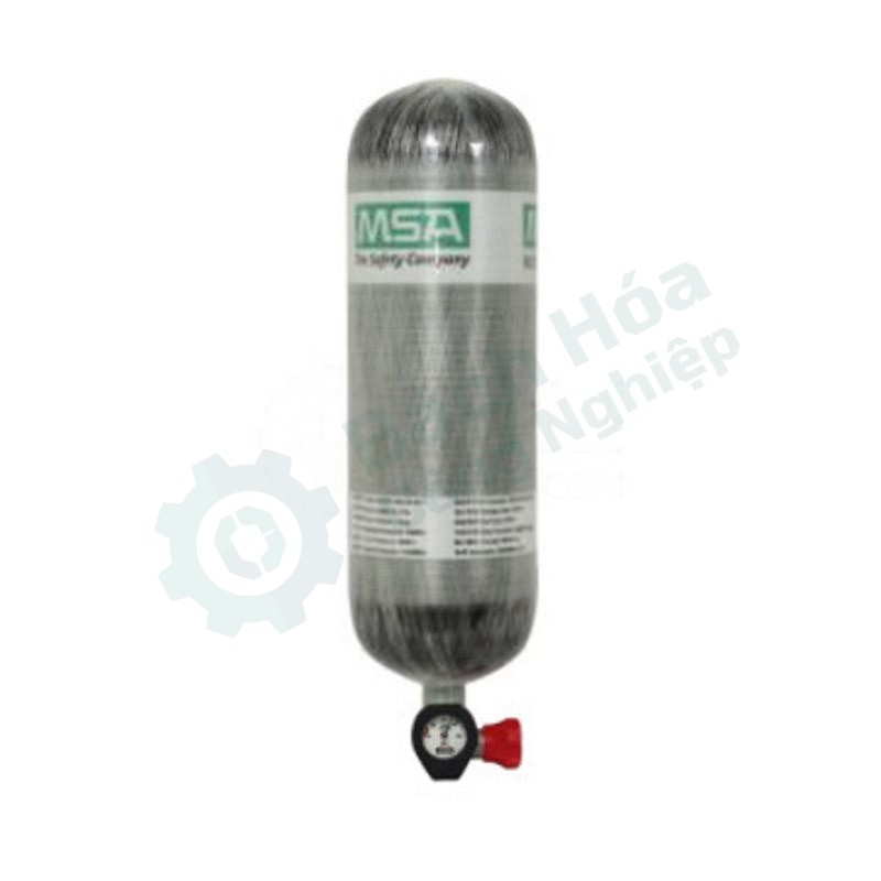 Mặt nạ hô hấp MSA 10121837