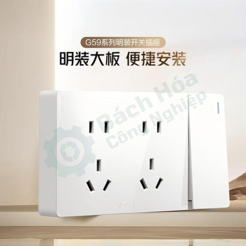 Mặt ổ cắm + công tắc nổi BULL G59E636