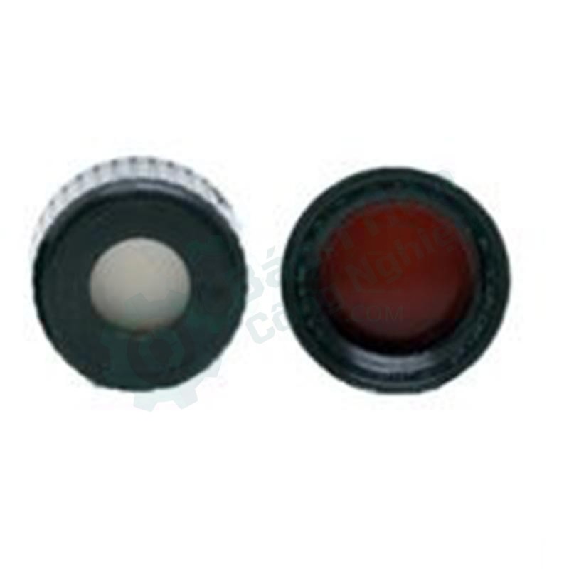 Nắp vặn ren có lỗ kèm đệm PTFE/silicon CNW VEAP-5395-08-100