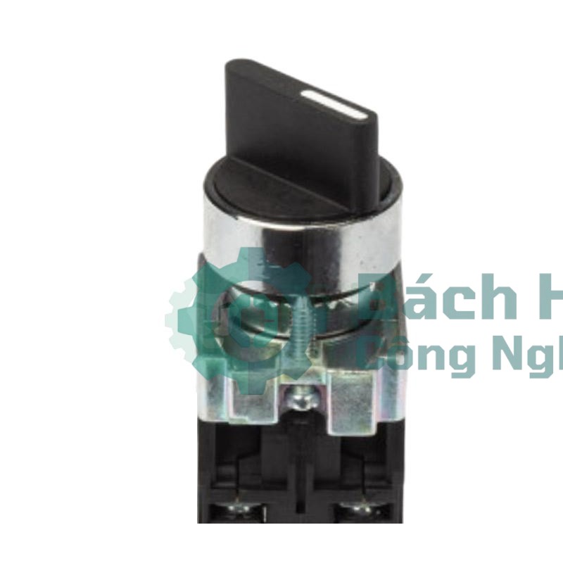 Nút nhấn CHINT BD33