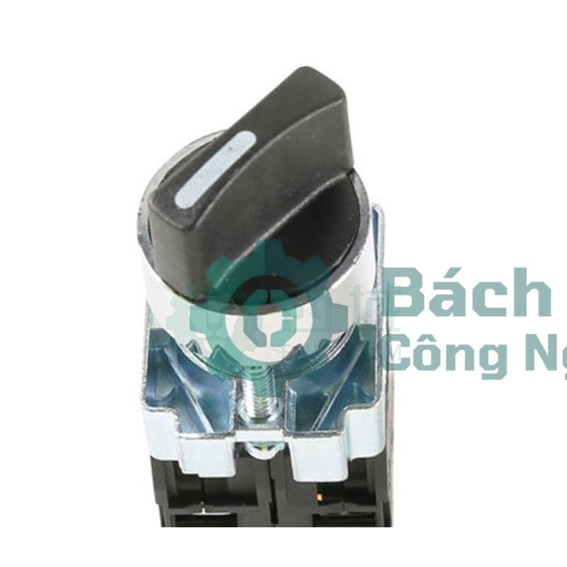 Nút nhấn DELIXI SBD25