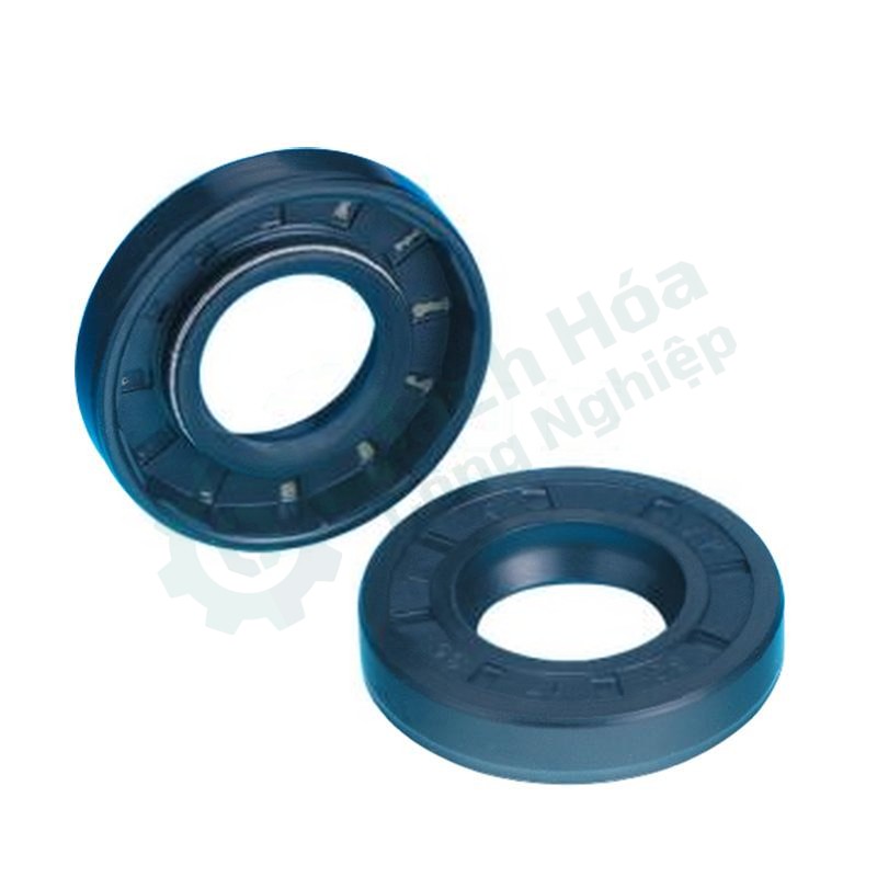 Phớt dầu có khung NAK 30003007314