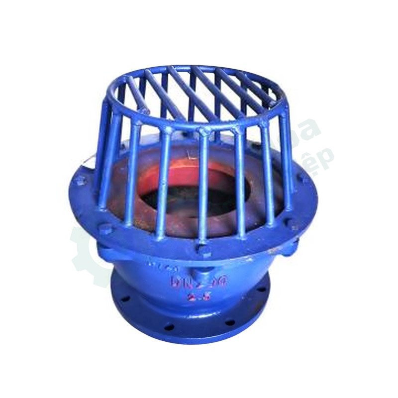 Van đáy (foot valve) gang YUANDA H42X-2.5