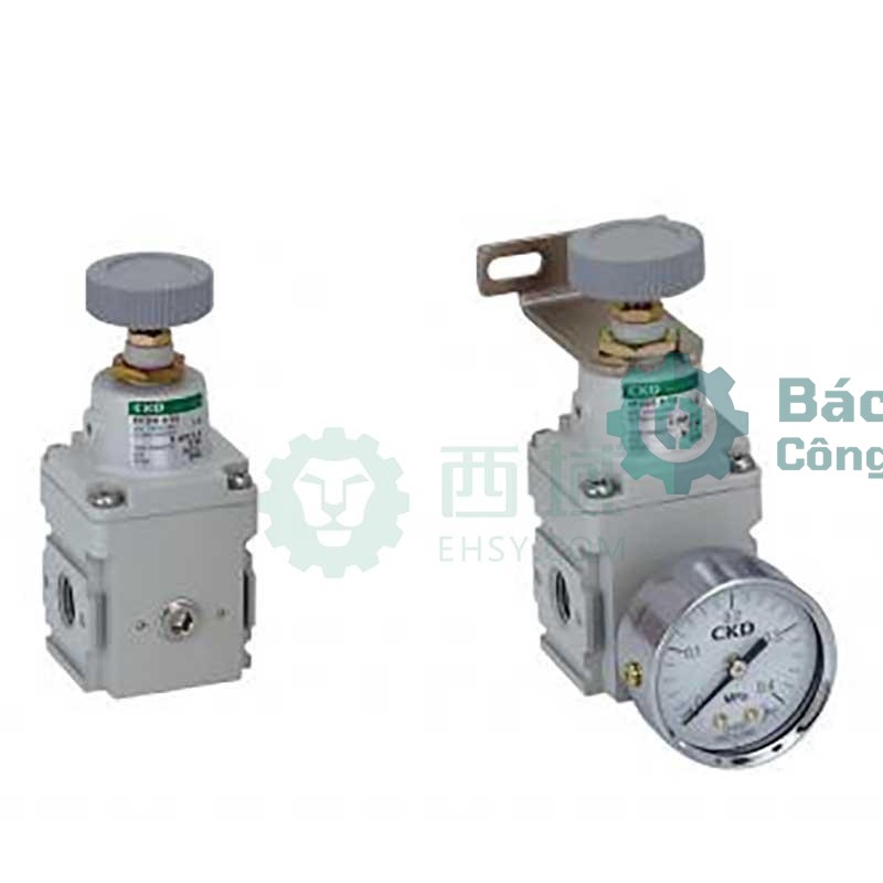 Van giảm áp CKD RP1000-8-02