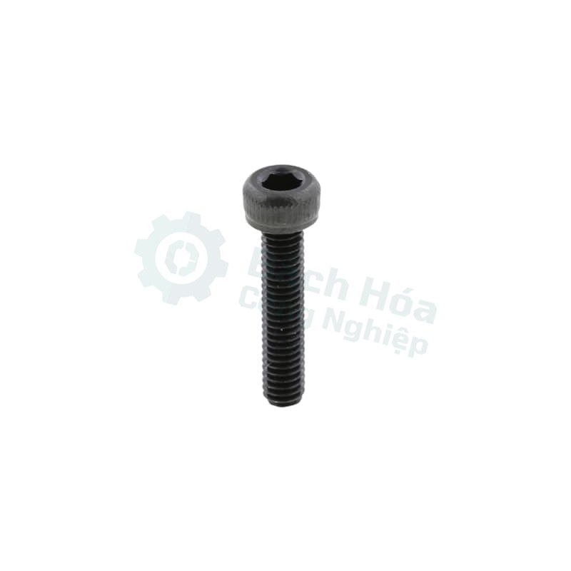 Vít máy MISUMI CB20-50