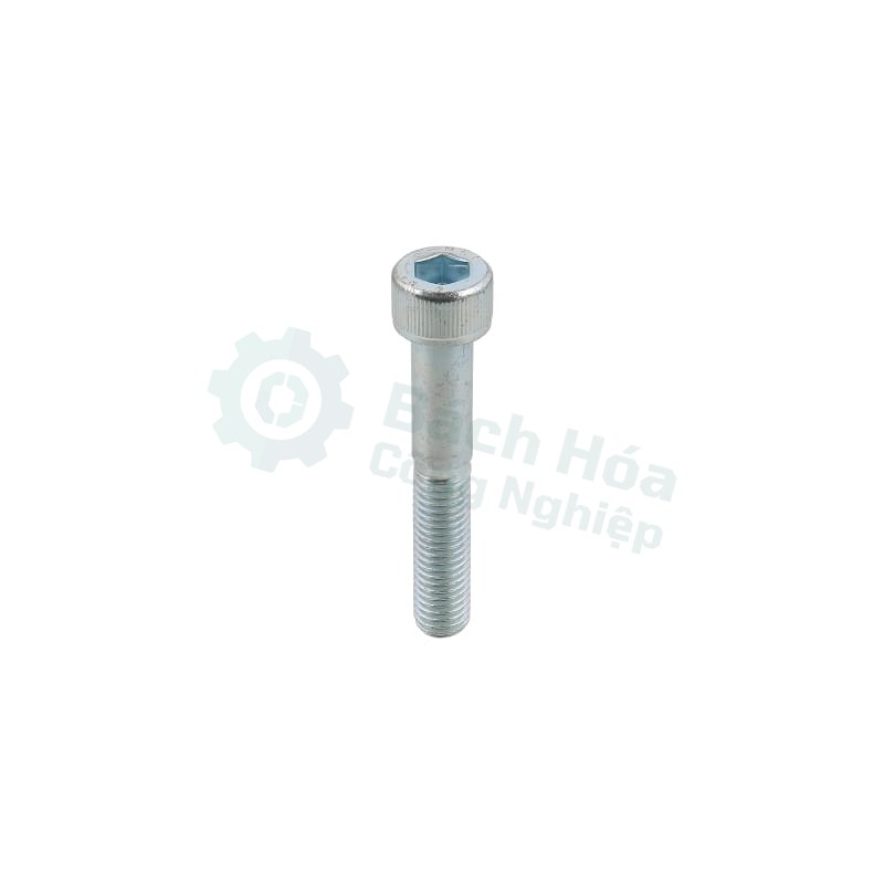 Vít máy MISUMI CBM10-30