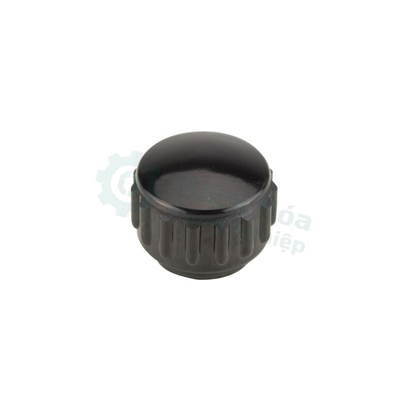 Vít máy MISUMI KS20X10
