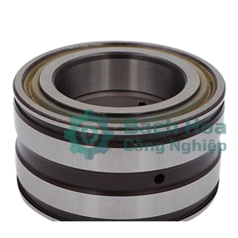 Vòng bi đũa INA SL185010-A-C3