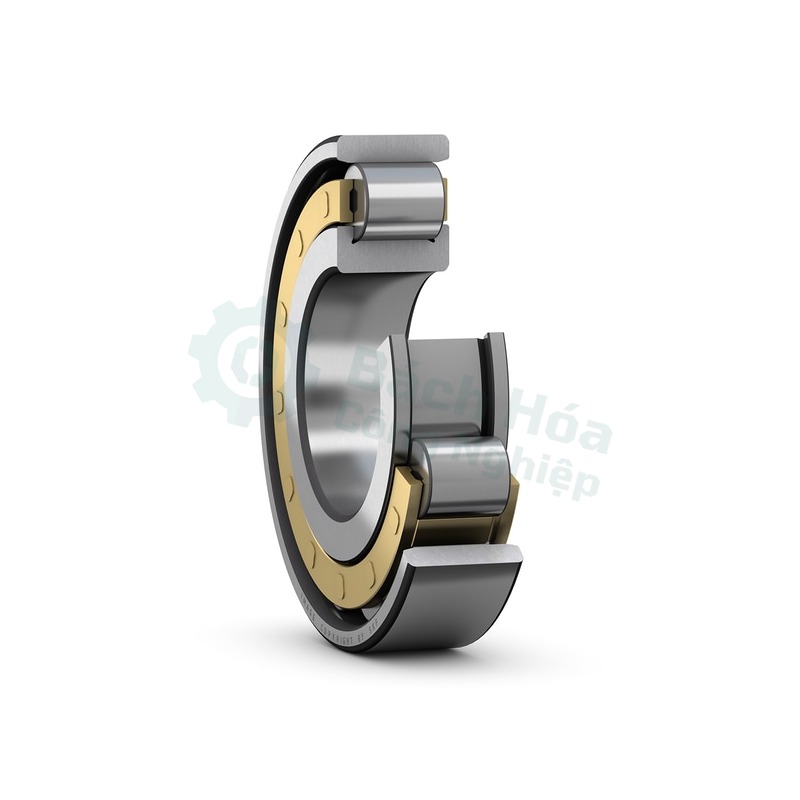 Vòng bi đũa SKF N319ECM