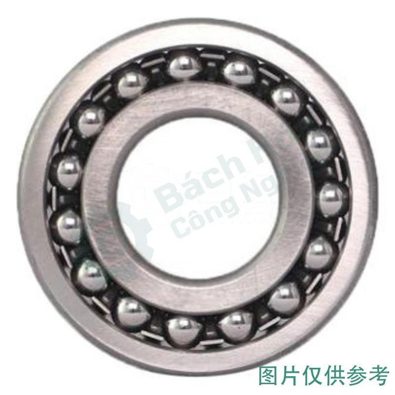 Vòng bi tự lựa ZWZ 1319