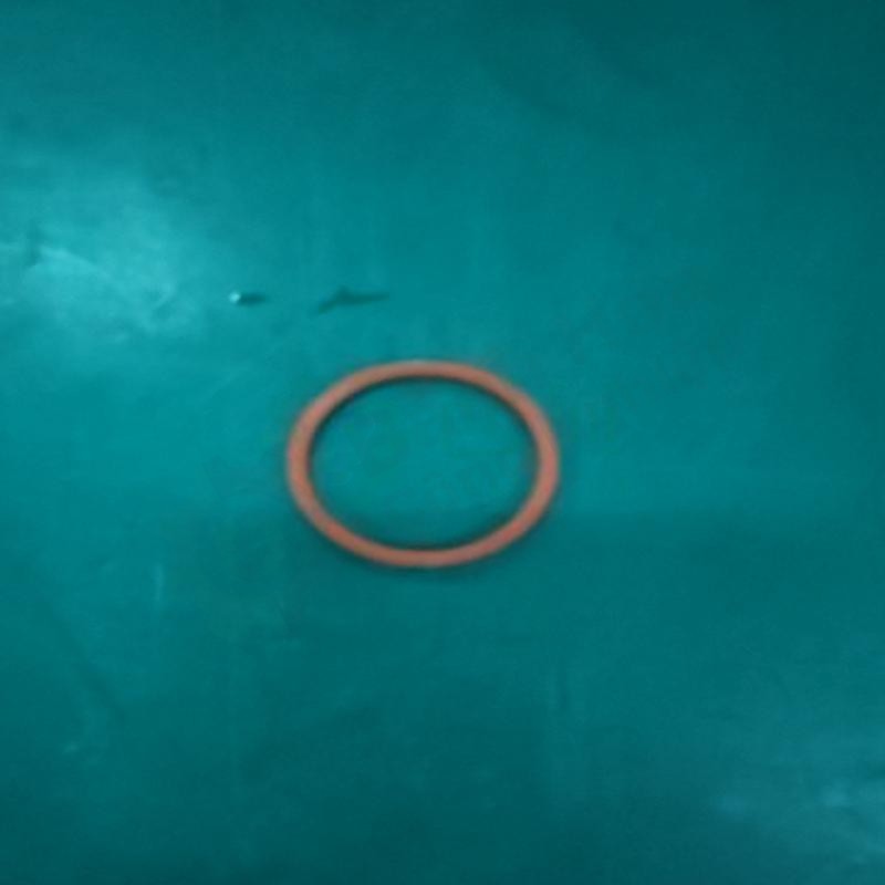 Vòng làm kín (sealing ring) DRAGER R18352