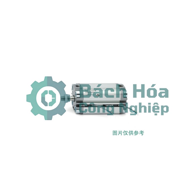 Xi lanh khí nén CAMOZZI 31F2A050A010S01